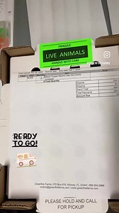 Chick shipping season is finally here and we could not be more excited to send you guys some of the rarest chicken breeds! 🐣 Stay tuned for this week’s Fun Fact Friday to get an in depth look at our first chick shipping day of the year! 🐥 #greenfirefarms #farmingdoneright #farmlife #farm #farming #sustainablefarming #sustainability #chickens #poultry #hatchingeggs #homestead #backyardchickens #backyardpoultry #chickensofinstagram #chickenlife #countryliving #backyardpoultrymag #hatchday #maran