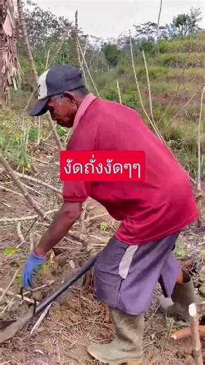 งัดถั่งงัดๆๆๆ