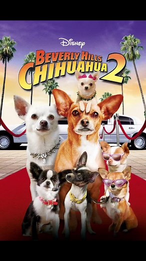 Beverly Hills Chihuahua 2 Movie Review