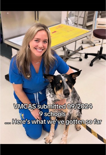 Guide to Vet School Applications for Future Veterinarians