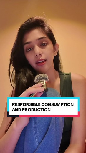 SDG 12: Responsible Consumption and Production Explained