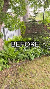 Don’t settle for overpriced bids. Compare trusted fence installers and get the job done right for less. Tap to compare free quotes. | Next Project Pro