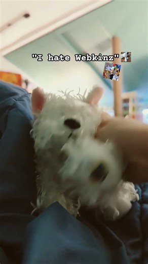 my Webkinz channels: @Thewebkinzkids ‪@Pixel-Kinz‬