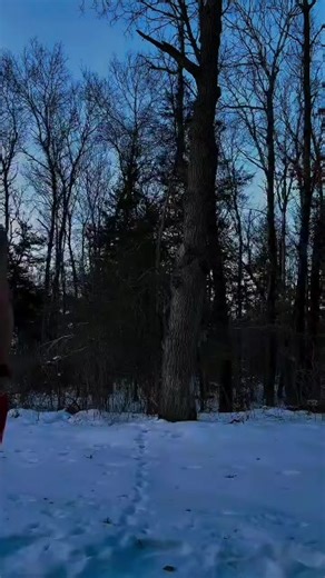 Thane rivers (@beardedvikingfan)’s videos with original sound - Qasim 03