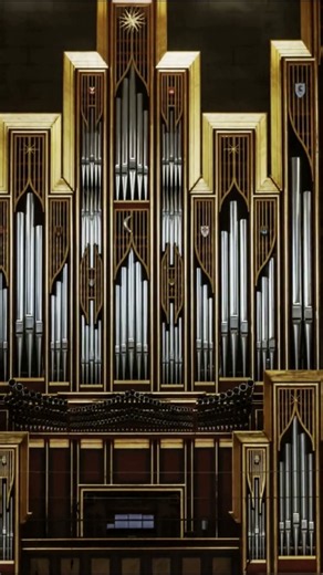 What Is an Organ? 🎹