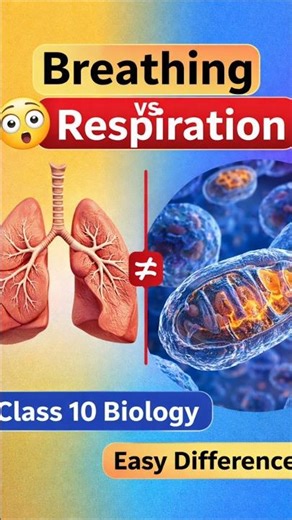 Breathing vs Respiration | Difference in Easy Language | Class 10 Science
