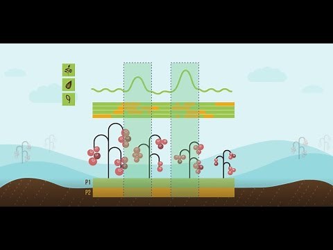 TraitMAGIC - A new approach to QTL Mapping and Marker Assisted Selection