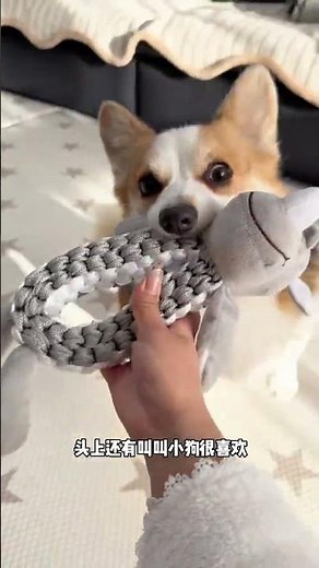 Unbreakable Knot Toy - Perfect for Tiny Paws