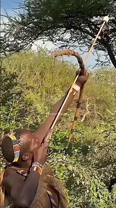 ¡Primate en el Árbol! 🐒 पेड़ पर प्राइमेट जीव का शिकार 🎯 #ytshots #ytviral #africa
