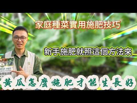 How to fertilize cucumbers to ensure they grow well and produce many flowers? #GrowingTips #HomeG...