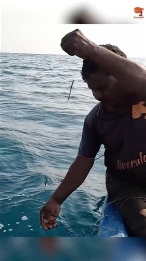 Catching Long Nose Trevally Fish in the Sea #fishing #fishingvideos #fishingtime