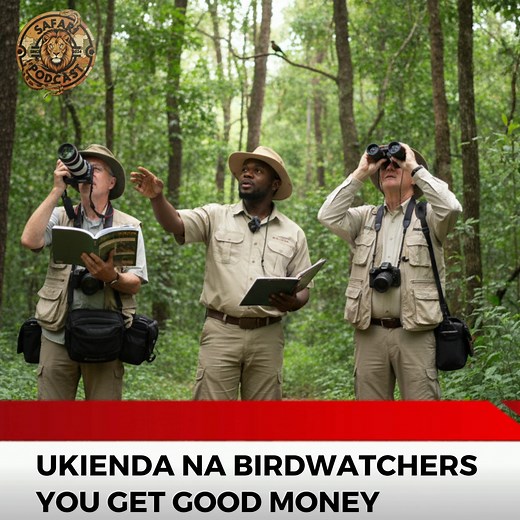 Tanzania Tour guide Talks benefits of Birdwatching Safari on Safari Podcast #safaripodcast #safaripodcasttz #thesafaripodcast | John Binara