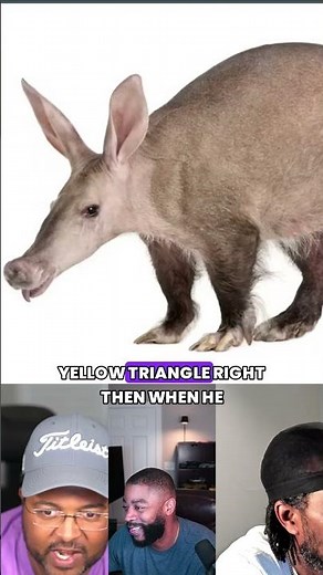 Arthur the Aardvark is a total LIE! 😭💀