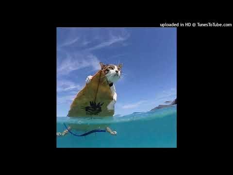 Smooth Jazz x Ps2 type beat - "I Wonder"