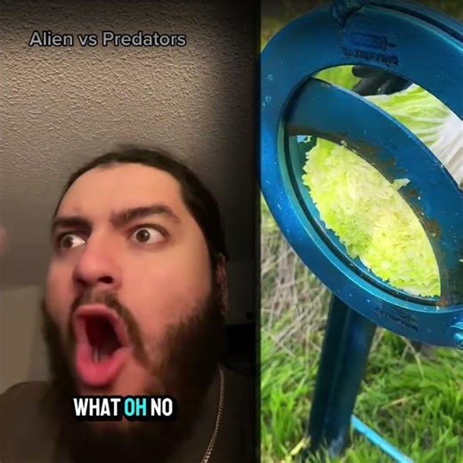 thats not cool #asmr #funny #relatable #pov #anime
