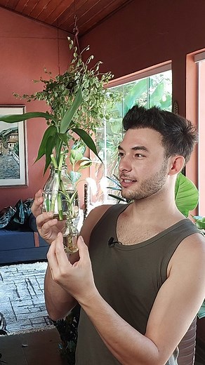 André Arozio e Flavio Sant'Ana | Essa é a maneira mais fácil de fazer mudas de bambu da sorte! O bambu da sorte, é uma planta popular que muitas pessoas cultivam como... | Instagram