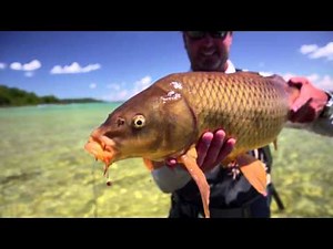 CARPLAND: Fly Fishing the Great Lakes for Carp
