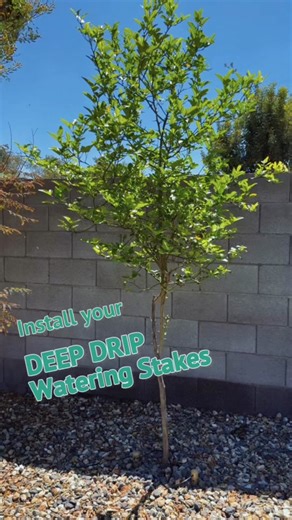 Mejora tu sistema de riego por goteo fácilmente