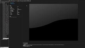 Windows 11 Insider Preview Build 21996 x64 安装