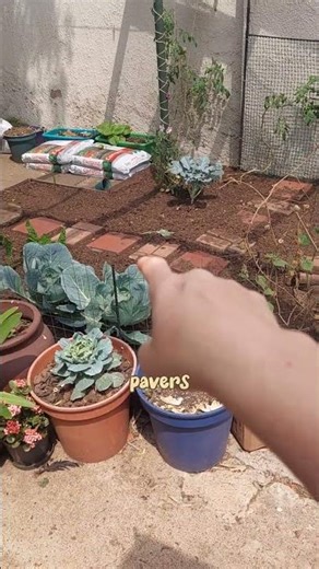 Plans for today build a pathway and level it!