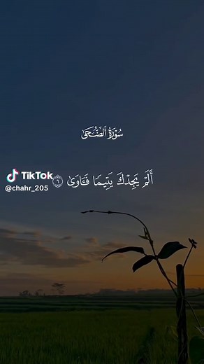 قراءة القرآن الكريم: خلفيات وتعليم للأطفال