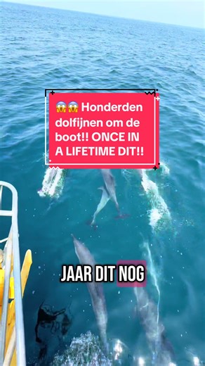 MAGISCHE SUPERPOD VAN DOLFIJNEN IN BAHÍA DE BANDERAS