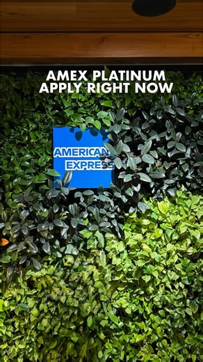 German Samvel | Points & Miles | Luxury Travel on Instagram: "⏰ Apply for the Amex Platinum today and use up all of these credits before the end of the year: $300 Hotel Credit $200 Airline Credit $200 Oura Credit $300 Equinox Credit $75 Lululemon Credit $50 Saks Fifth Avenue Credit $35 Uber Credit $25 Digital Entertainment Credit"