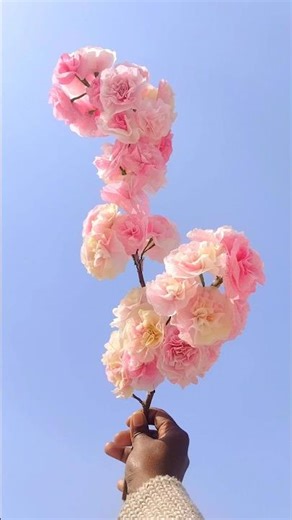 diy tissue paper cherry blossom/diy asthetic cherry blossom/#diy #craft #creative #diycraftshorts