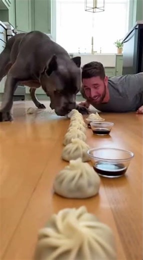 Dog vs Human Dumpling Race | Slippery Kitchen Chaos 🥟🐶😂
