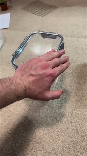 Venomous snake unboxing video! | Nathan Jordan Photography