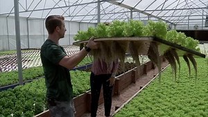 Why eating local produce just got more innovative