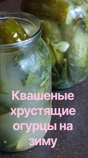 Crispy barrel-style fermented pickles in a jar for winter!