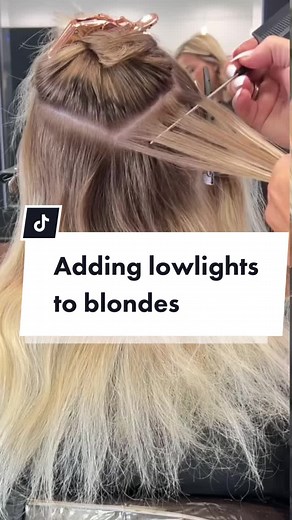 How to Add Lowlights to Blonde Hair using Redken Shades EQ