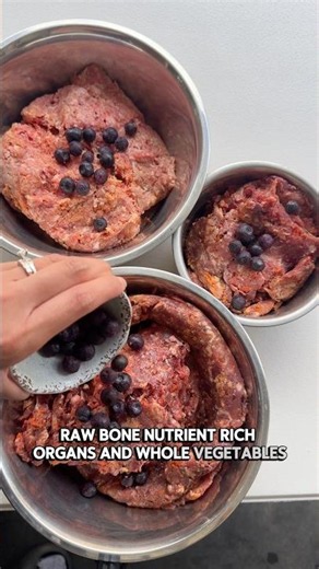 What a Real Raw Dog Meal Looks Like #rawdogfood #dobermanpinscher #germanshepherd #frenchbulldog