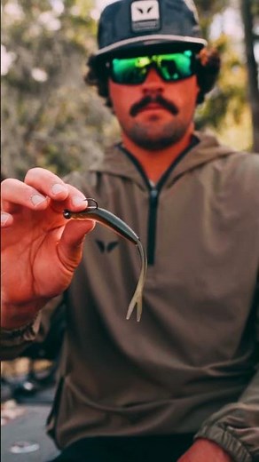 The ALL NEW Shindo 6.0 | 6th Sense Fishing