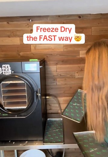 Fast Methods for Freeze Drying Food Easily