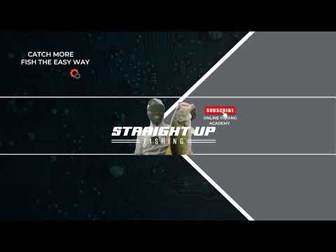 Do Bass See Lure Color? - Science Behind Largemouth Vision