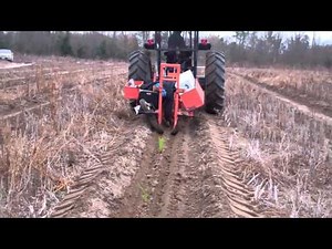 Machine planting Longleaf pine seedlings Jan 7, 2011
