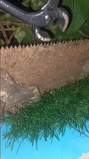 Saw Sharpening Techniques for Perfect Cuts"