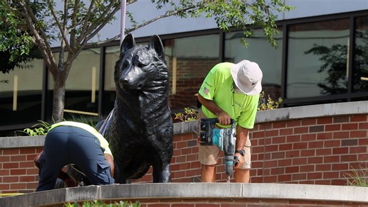 Sentinel Installation