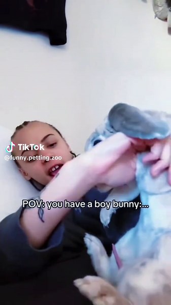 Funny rabbit #PetTok #funnyanimals #GuiltyDogFace #USAPetLovers #PetFYP