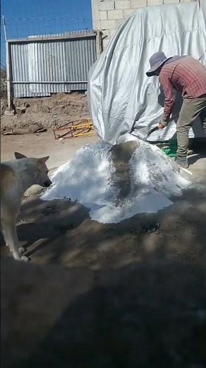 💠How to prepare a lime mix #construction #work #bricklayers #concrete #architecture #cement