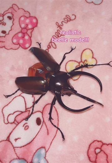 Unique Thrift Haul: Kawaii Finds and Spooky Treasures