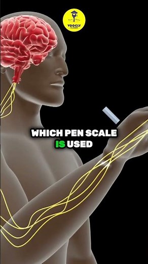 Unlock the Secrets of Pediatric Pain Assessment! 🌟