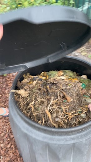 1.6M views · 10K reactions | Add kitchen waste in compost #composting #compost #compostable #backyardgarden #homegrown #vegetables #gardenlife #homegrownfood #fypシ゚ | GrowwithChea | Facebook