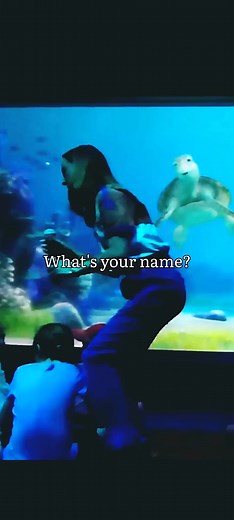 SUSHI ISSUE | Turtle talk with crush 😂 | Turtle Talk With Crush