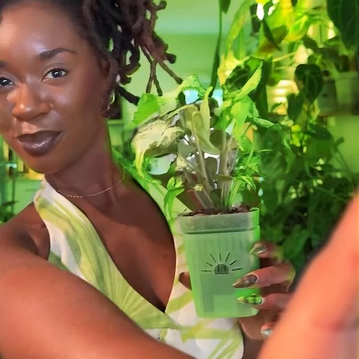 1K reactions · 102 comments | Bring the vibe. Bring the color.  The new Clearly Colorful Collection by Naked Root is here — where vibrant design meets effortless plant care. With Air Root Pruning for healthier growth and a self-watering system that keeps your plants happy, it’s more than a planter — it’s a whole mood. Turn up your color energy and let your home breathe in full color. | Naked Root | Facebook