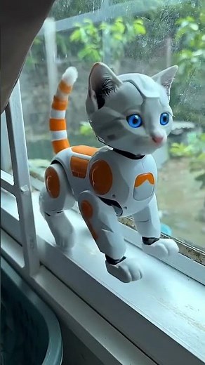 cat turns in to robotic cat 😺🐈‍⬛