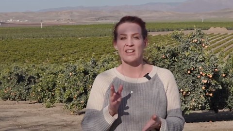 Local growers prepared for extended Freeze Warning