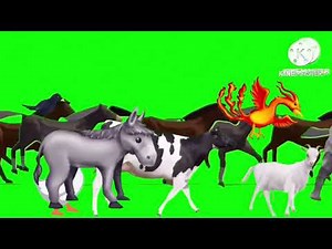 Green screen animal stampede
